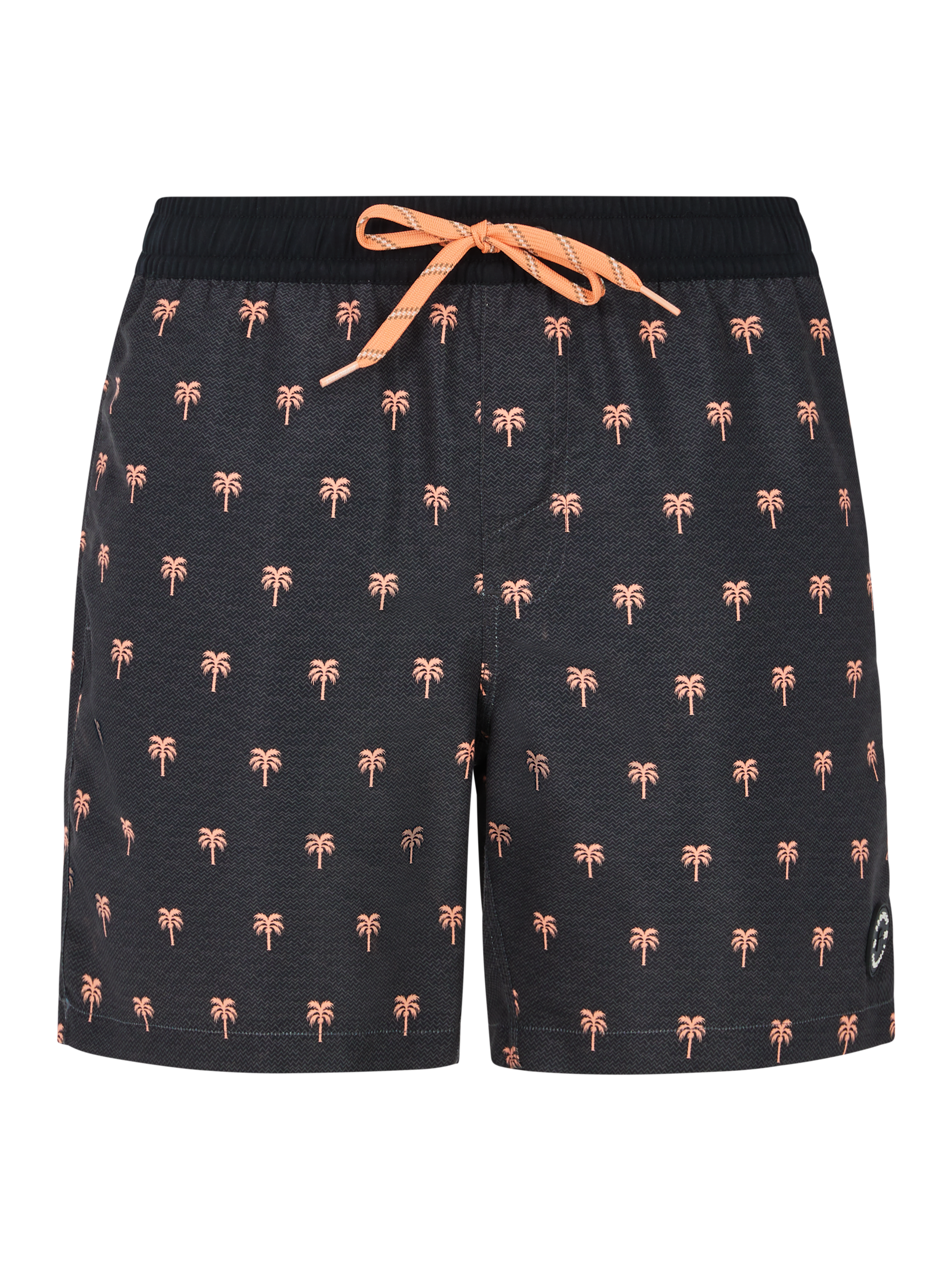 Protest Prtparco Short Swim Shorts Men - Grey