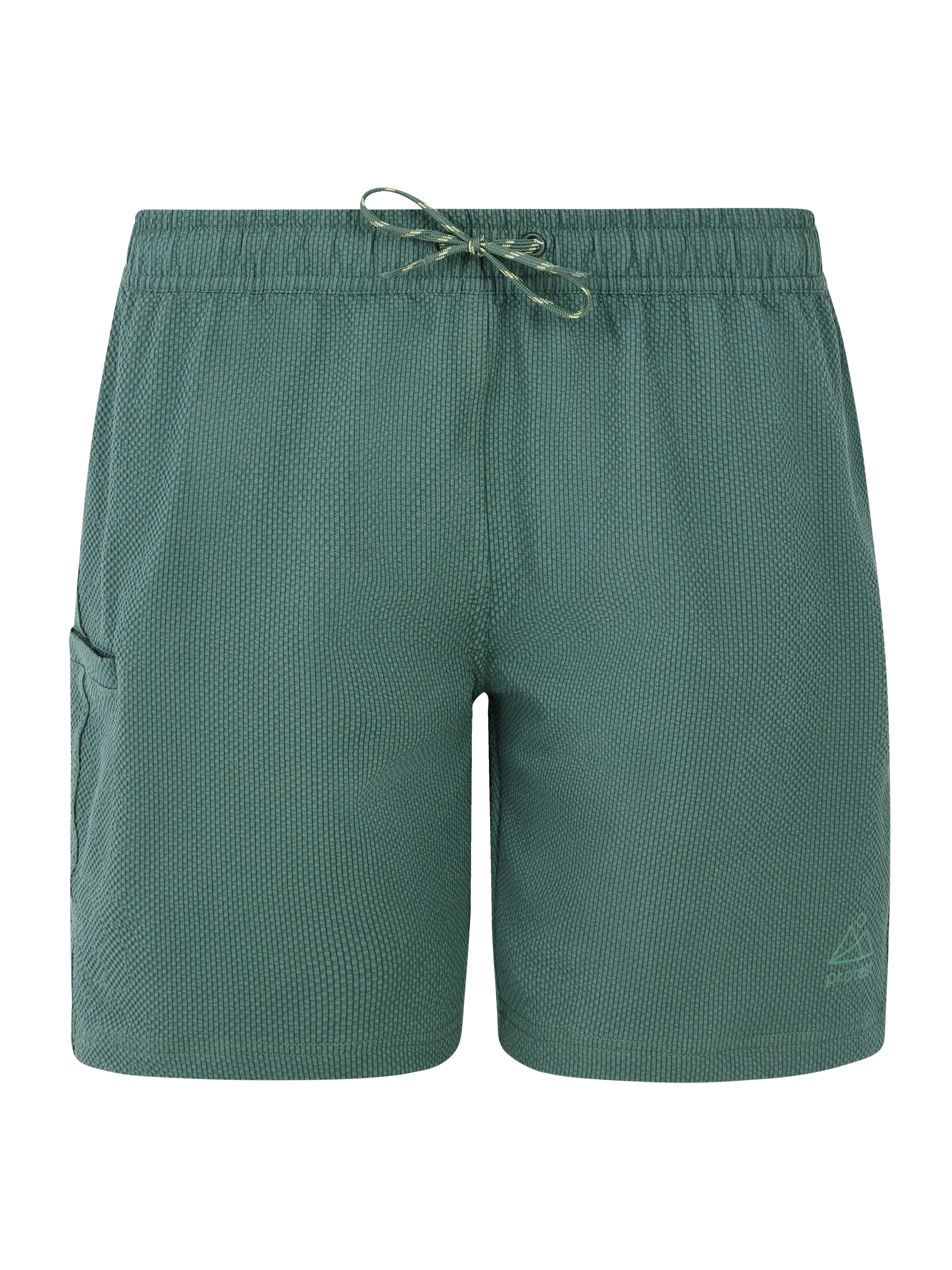 Protest Prtagaat 25 Swim Shorts Women - Green